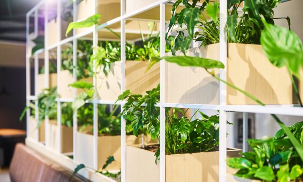 Vijf doeltreffende tips voor een gezond binnenklimaat  image