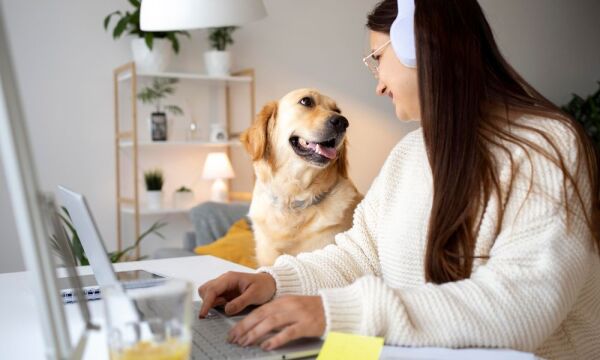 Golden Retriever die mee aan het bureau zit bij een vrouw die aan het werken is op haar laptop