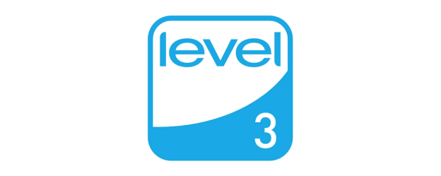 FEMB LEVEL 3 FEMB LEVEL 3
