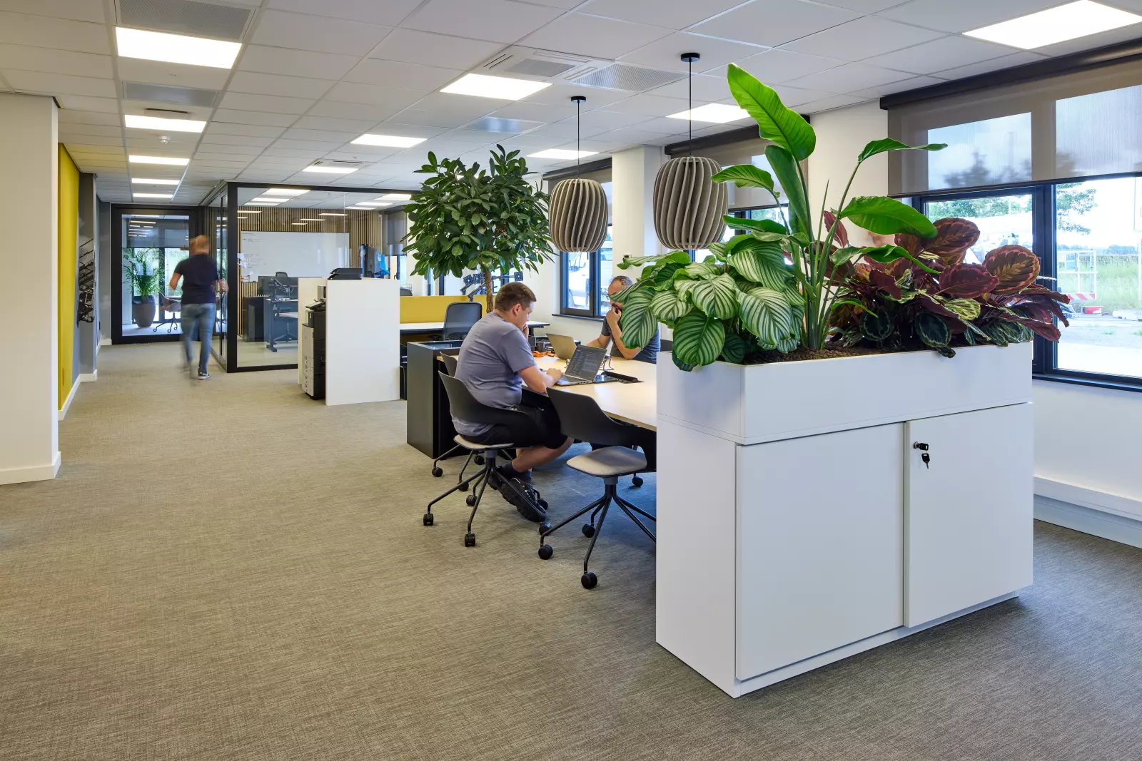 Open kantoorruimte met bureaus, akoestische schermen, veel daglicht en planten.